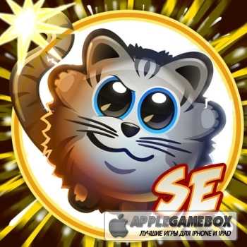 Bombcats Special Edition