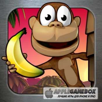 Monkey Bongo