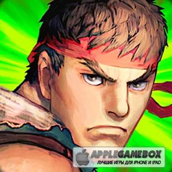 Street Fighter IV Volt