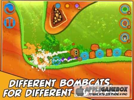 Bombcats Special Edition