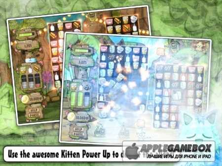 Kitten Sanctuary