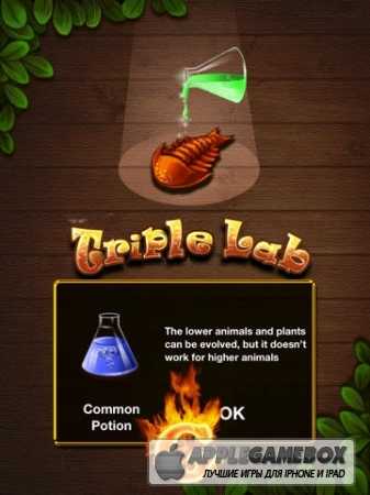 Triple Lab G