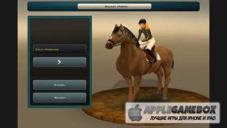 Race Horses Champions 2