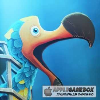 Dodo Master Pocket
