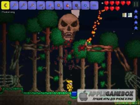 Terraria (Террария)