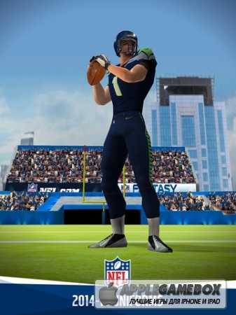 NFL Quarterback 15