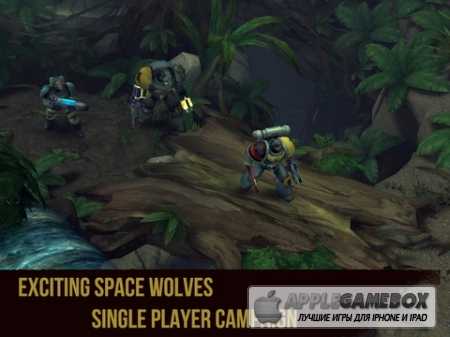 Warhammer 40,000: Space Wolf