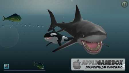 I Am Dolphin v1.0