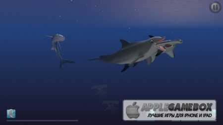 I Am Dolphin