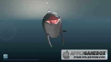 I Am Dolphin