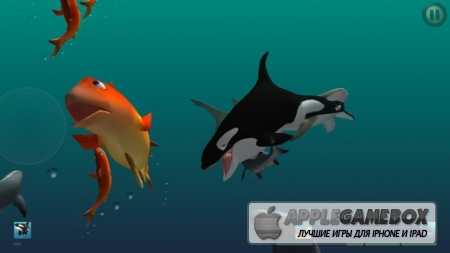 I Am Dolphin