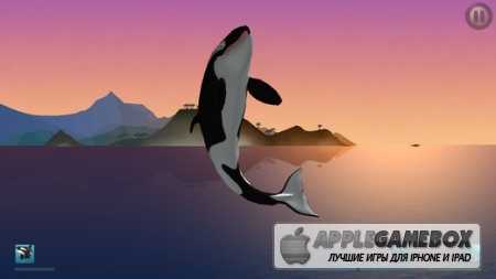 I Am Dolphin