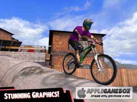 INFOCUS Extreme Bike