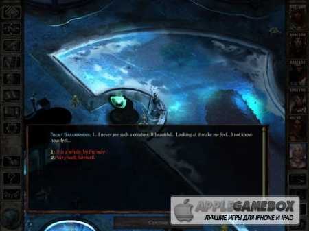 Icewind Dale: Enhanced Edition