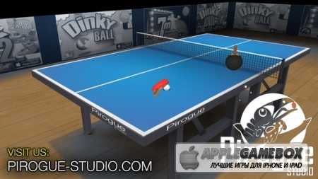 Pro Arena Table Tennis