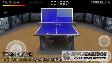 Pro Arena Table Tennis