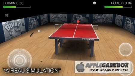 Pro Arena Table Tennis