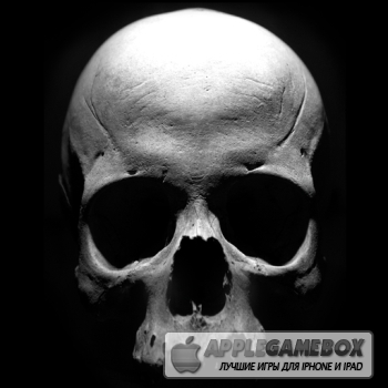 Sons of Anarchy: The Prospect