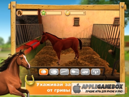 HorseWorld 3D: моя верховая лошадь (My Riding Horse)