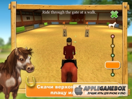 HorseWorld 3D: моя верховая лошадь (My Riding Horse)