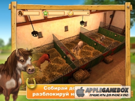 HorseWorld 3D: моя верховая лошадь (My Riding Horse)