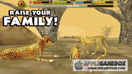 Cheetah Simulator