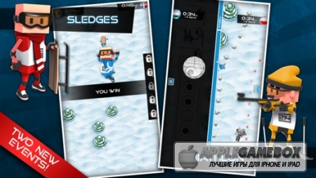 Flick Champions Winter Sports