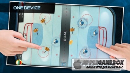 Flick Champions Winter Sports