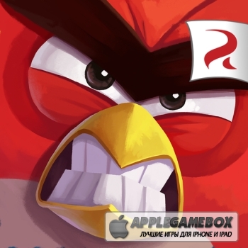 Angry Birds Under Pigstruction