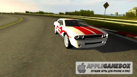 Real Rage: 3D Racing