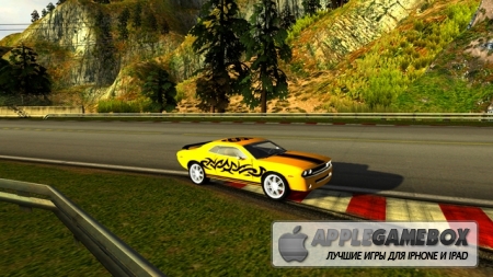 Real Rage: 3D Racing