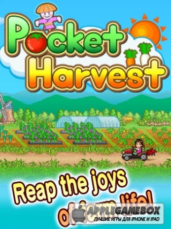 Pocket Harvest
