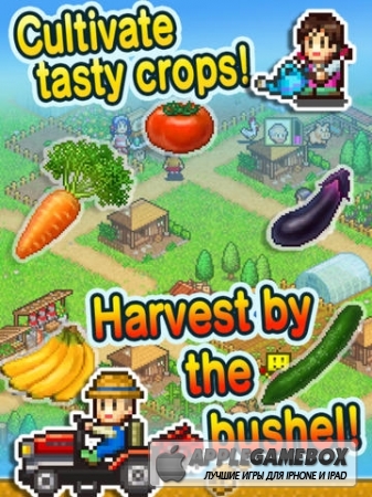 Pocket Harvest v1.0.6